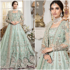Custom Pakistani Bridal Gown, Embroidered Net Maxi Dress